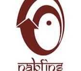 NABFINS (An NBFC-MFI promoted by NABARD) logo